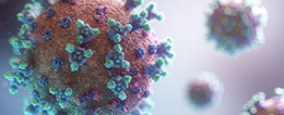 Personalized tumor solutions